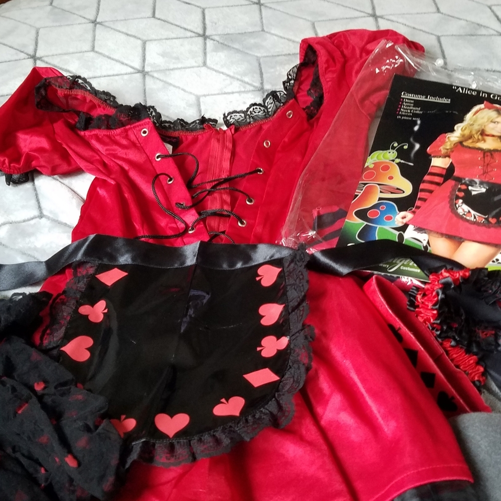 Alice in Wonderland Costume
